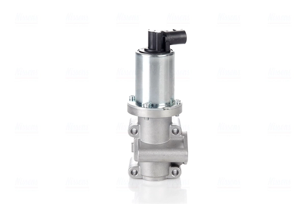 EGR Valve (98180)