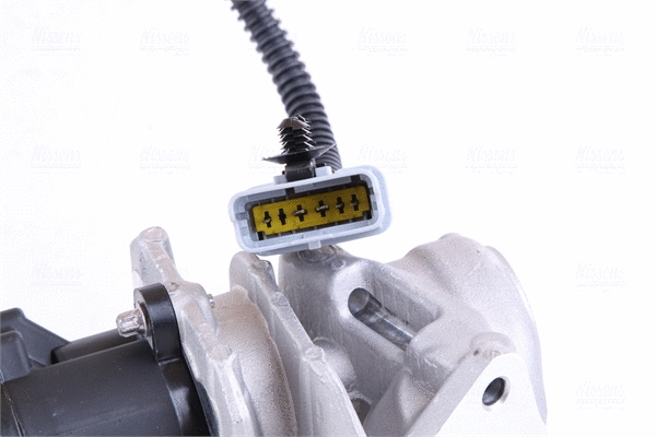 EGR Valve