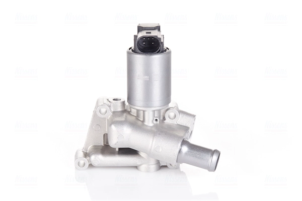 EGR Valve (98196)