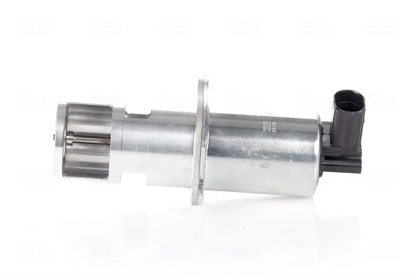 EGR Valve (98163)
