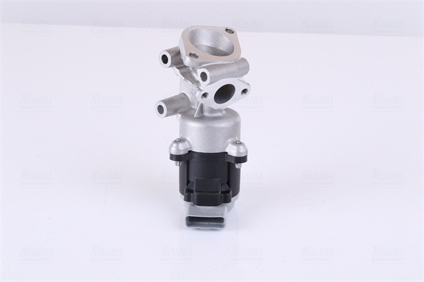 EGR Valve (98237)