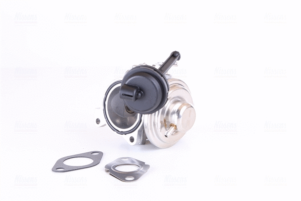 EGR Valve (98302)