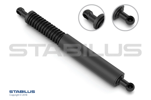 Gas Spring, boot/cargo area (2846ZR)