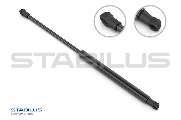 Gas Spring, boot/cargo area (022620)