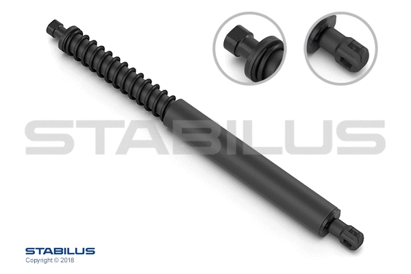 Gas Spring, boot/cargo area (030847)
