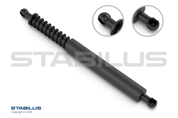 Gas Spring, boot/cargo area (008046)