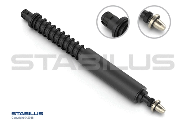 Gas Spring, boot/cargo area (304490)