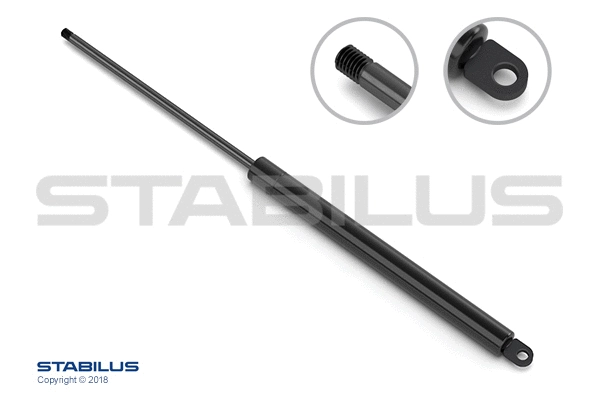 Gas Spring, boot/cargo area
