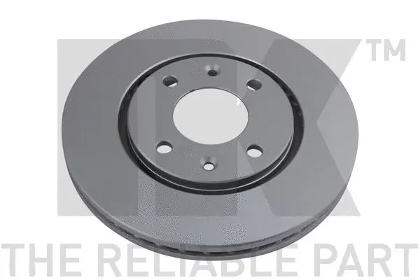 Brake Disc (313719)