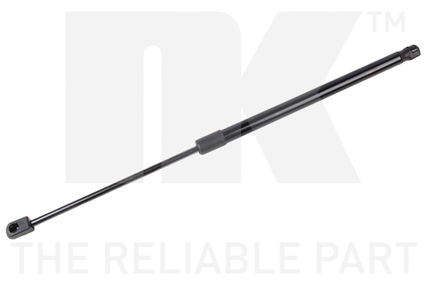 Gas Spring, boot/cargo area (11022008)