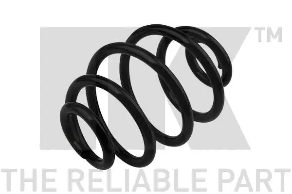 Suspension Spring (543634)