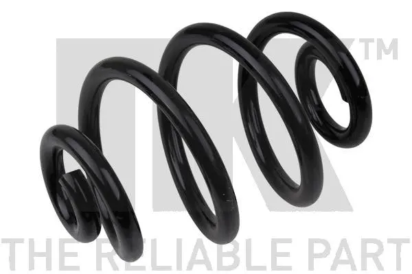 Suspension Spring (541513)