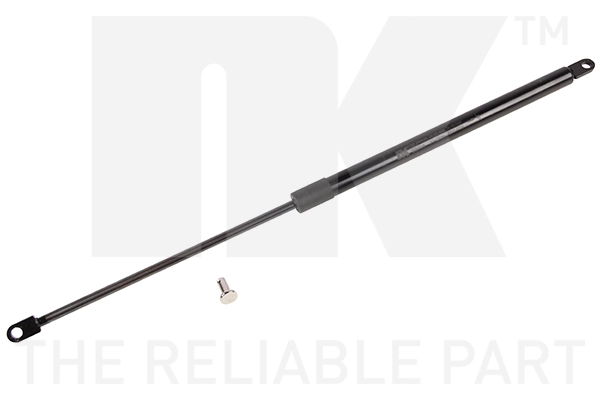 Gas Spring, boot/cargo area (11023009)