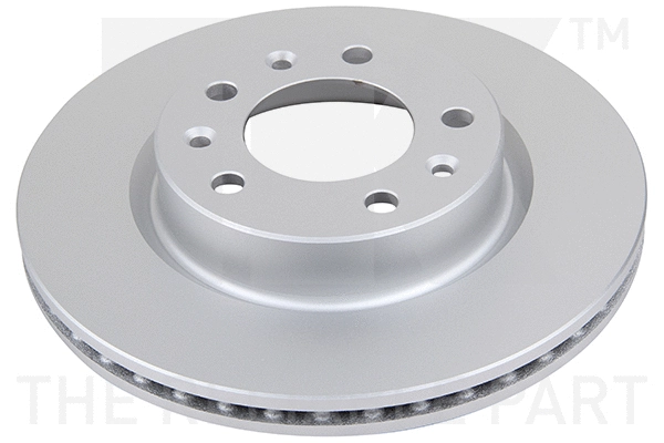 Brake Disc (313746)