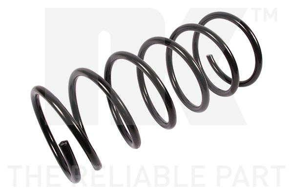 Suspension Spring (531999)