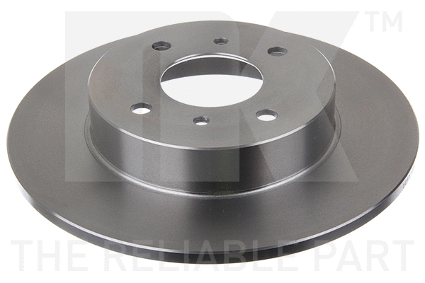 Brake Disc (202252)