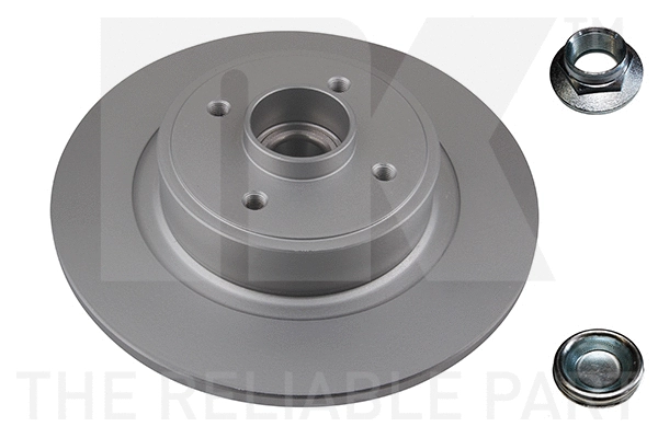 Brake Disc (313967)