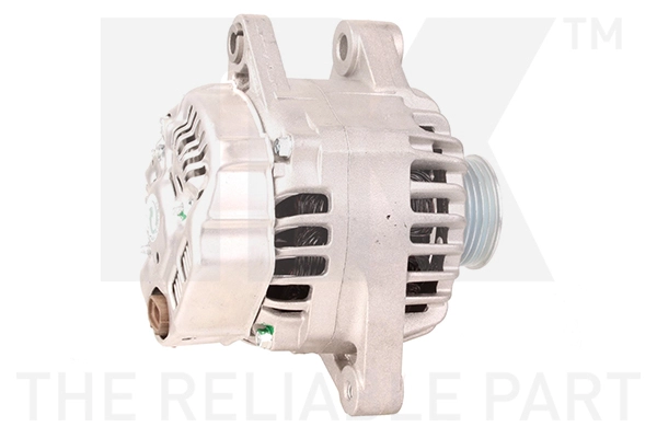 Alternator (4845005)