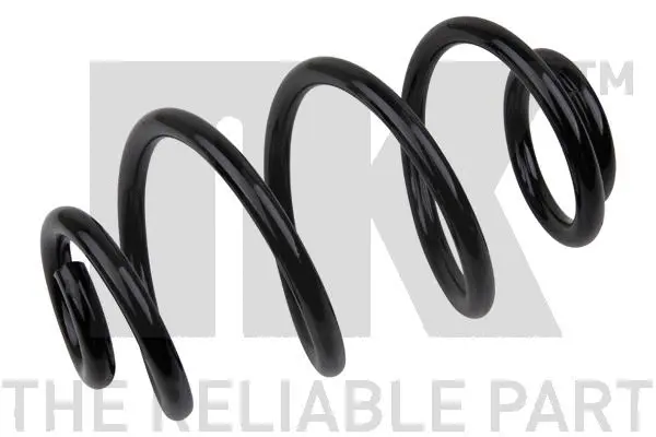 Suspension Spring (543920)