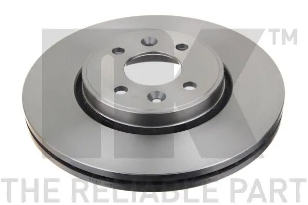 Brake Disc (203919)