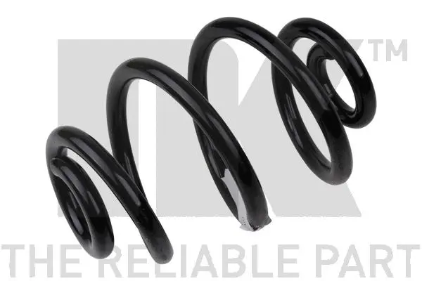 Suspension Spring (541526)