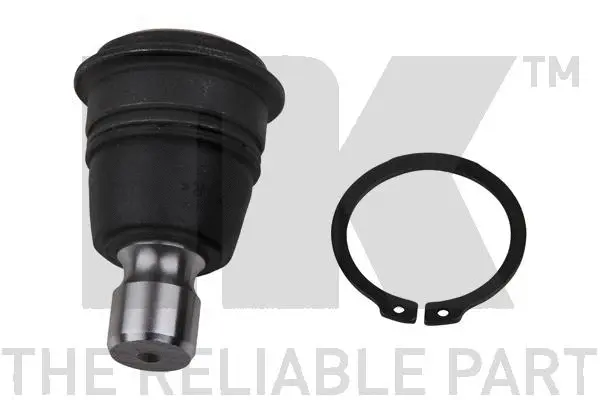 Ball Joint (5042243)