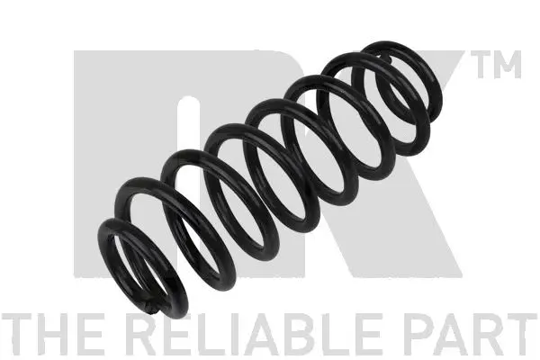 Suspension Spring (541545)