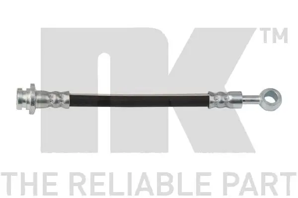 Brake Hose (855229)