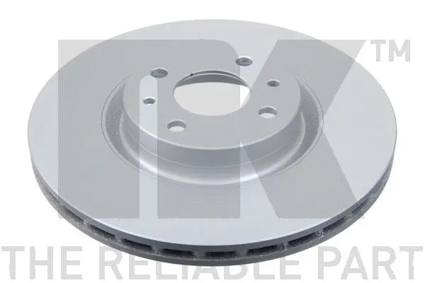 Brake Disc (319923)