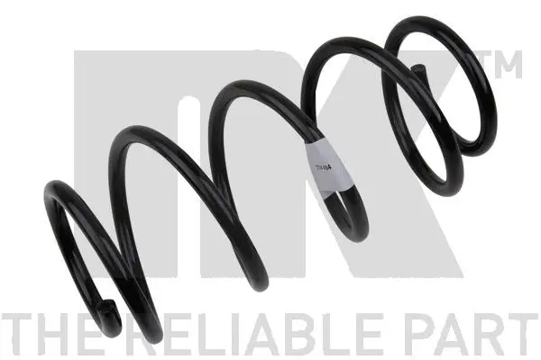 Suspension Spring (533666)