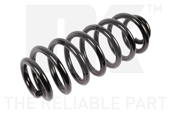 Suspension Spring (5447186)