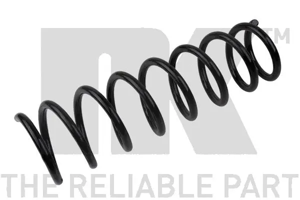 Suspension Spring (541541)