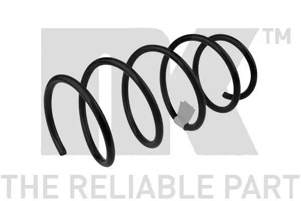 Suspension Spring (531513)