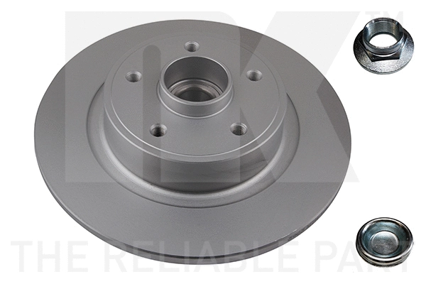 Brake Disc (313963)