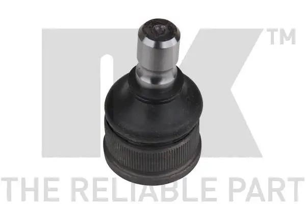 Ball Joint (5043222)