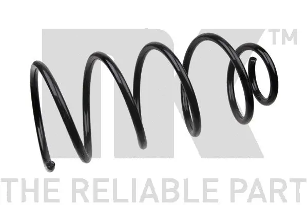 Suspension Spring (533738)