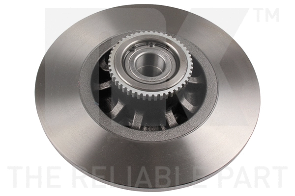 Brake Disc (203379)