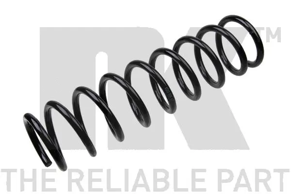 Suspension Spring (541546)