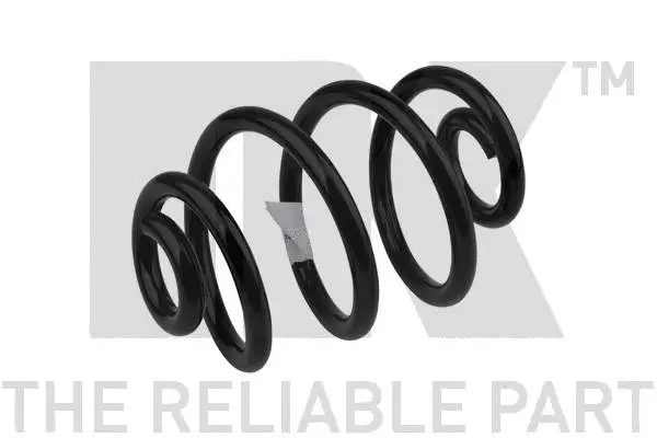 Suspension Spring (541507)
