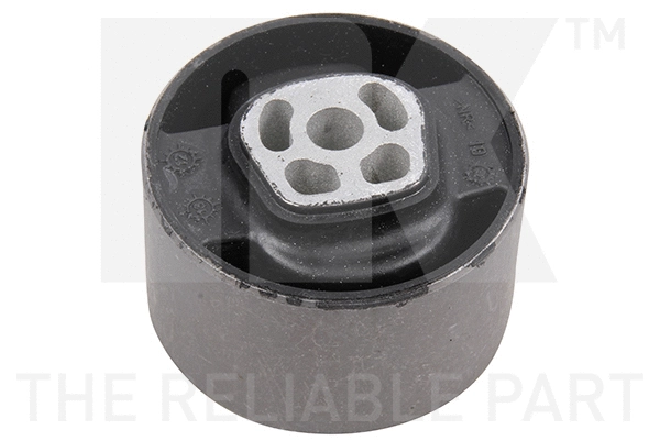 Mounting, engine (59719018)
