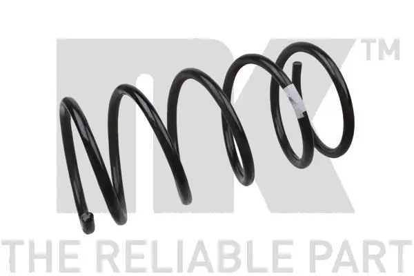 Suspension Spring (531945)