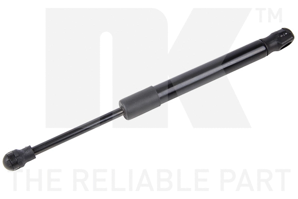 Gas Spring, boot/cargo area (11032006)
