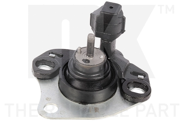 Mounting, engine (59739062)