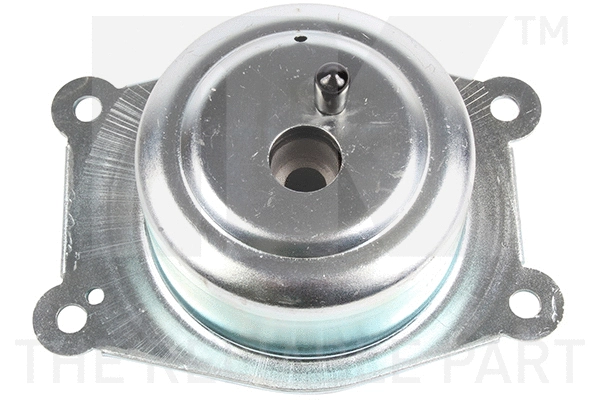 Mounting, engine