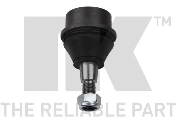 Ball Joint (5049301)