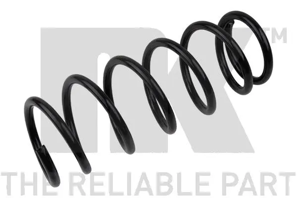 Suspension Spring (543677)