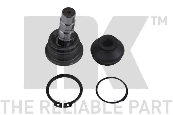 Ball Joint (5042328)