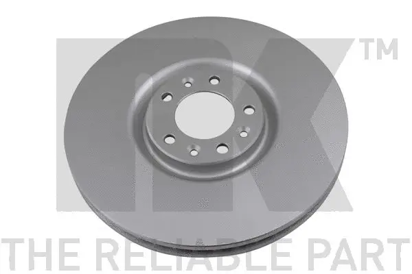 Brake Disc (313751)
