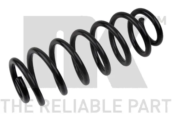 Suspension Spring (543720)