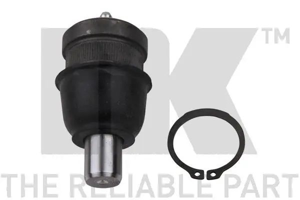Ball Joint (5049302)